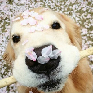 91人成色情网www中国
